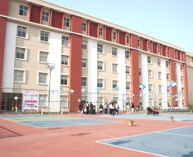 Top CBSE Schools In Greater Noida – St Xavier’s