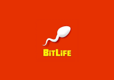 How to Play and Enjoy a Store Management Game with BitLife