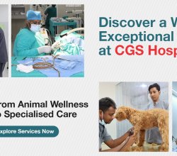 Emergency Veterinary Hospital in Gurgaon | CGS Hospital