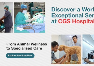 Emergency Veterinary Hospital in Gurgaon  | CGS Hospital