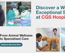 Emergency Veterinary Hospital in Gurgaon  | CGS Hospital