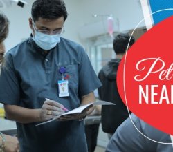 Pet Doctors Near Me | CGS Hospital Sarojini Nagar