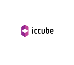 icCube