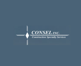 Consel Inc