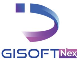 DigiSoft Nexus