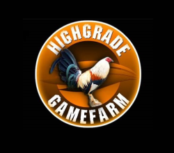 GAMEFOWLSFORSALE