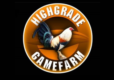 GAMEFOWLSFORSALE