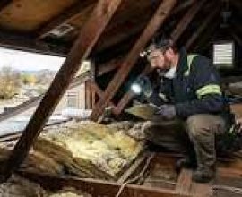 Insulation Nation