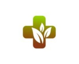 Dr Piles Clinic
