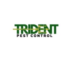 tridentpestcontrol