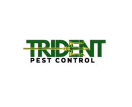 tridentpestcontrol