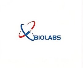 Trusted Lab Reagents for Cayman Chemical India | EC BioLabs