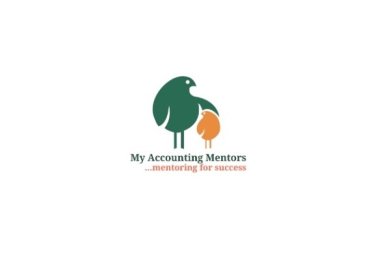 My Accounting Mentors