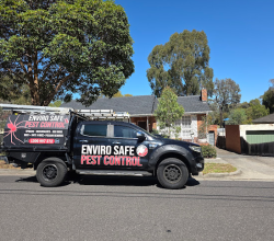 Pest Control Melbourne