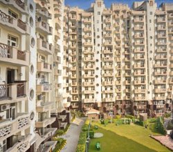 Comfortable House in Noida at Affordable Rates