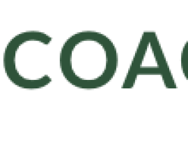 Executive Coach Group