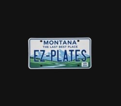 vehicle registration assistance