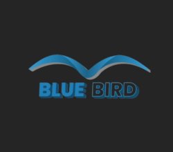 Blue Bird Events