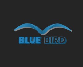 Blue Bird Events