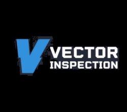 Vector Inspection