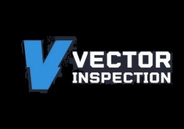 Vector Inspection