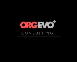 OrgEvo Consulting Pvt. Ltd.