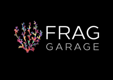 Frag Gold Hammer CoralGarage