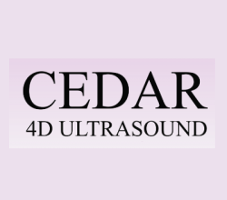 cedar4dultrasound