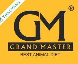 grandmasterglobal