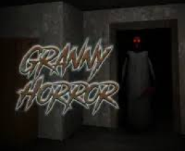 Granny Overview
