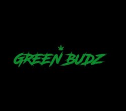 GBZ WELLNESS UK LTD