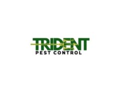 End of Lease Pest Treatment