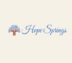 Hope Springs Psychotherapy Ladi Agahiu LCSW PLLC