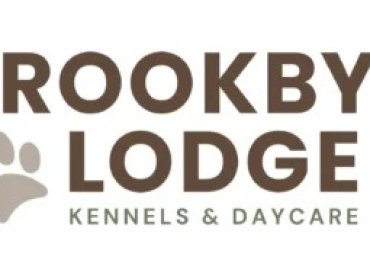 Brookby Lodge – Dog Daycare & Boarding in Auckland