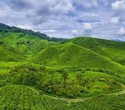 Cameroon eVisa for Australia Citizens