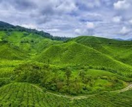 Cameroon eVisa for Australia Citizens