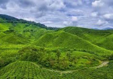 Cameroon eVisa for Australia Citizens