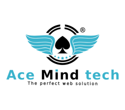 Website Development Company in Noida Sector 62 | AceMindTech
