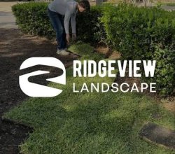 Ridgeview Landscape