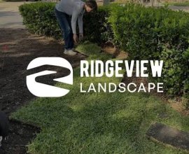 Ridgeview Landscape