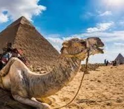 Egypt eVisa for Georgia Citizens – Visa Requirements & Process