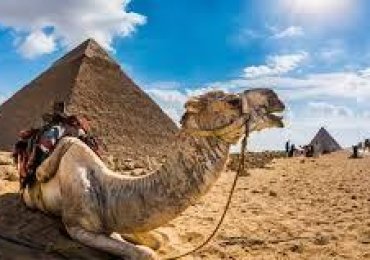 Egypt eVisa for Georgia Citizens – Visa Requirements & Process