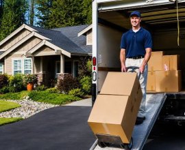Lifeline Movers & Packers Ltd