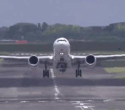 Terminal 8 at John F. Kennedy International Airport +1-888-738-0817