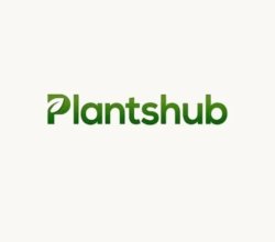 Orchid Valley Nursery