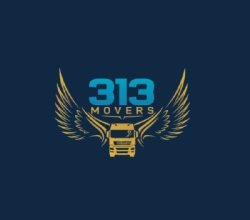 313 Movers