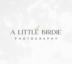 A Little Birdie Photography