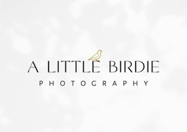 A Little Birdie Photography