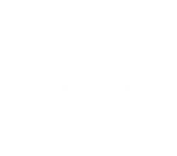 Your Publishing Partner from Start to Success