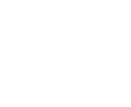 Your Publishing Partner from Start to Success
